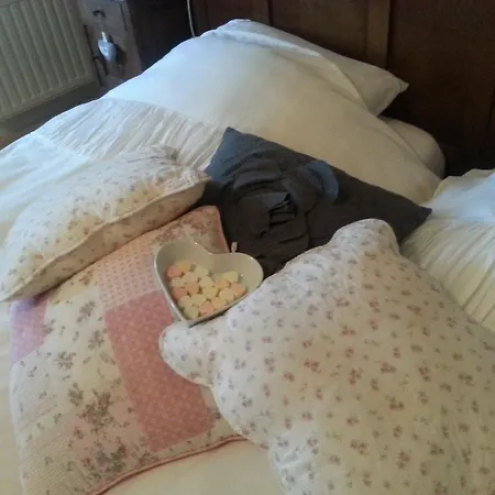 La Rue De France Bed & Breakfast *